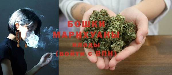 хмурый Белокуриха