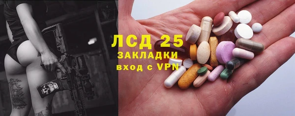 гашиш Богданович