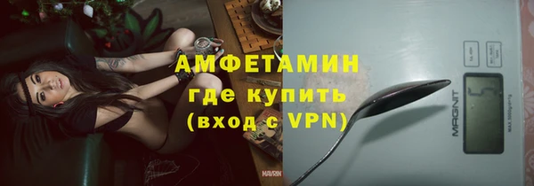 хмурый Белокуриха