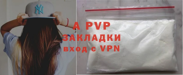 хмурый Белокуриха