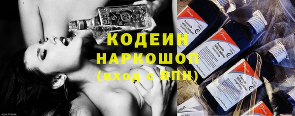 хмурый Белокуриха