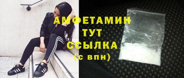 хмурый Белокуриха