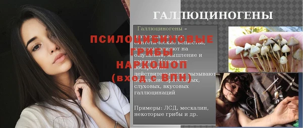 прущий лед Богородицк